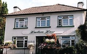 Hawthorn House Guesthouse