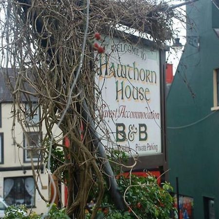 Hawthorn House Guesthouse Kenmare Exterior foto